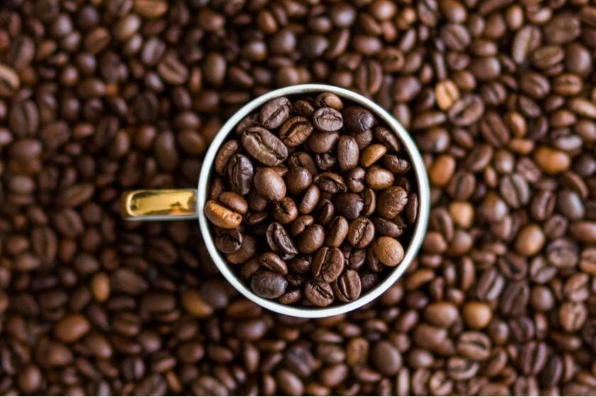 Which coffee bean is better? Arabica or Robusta?