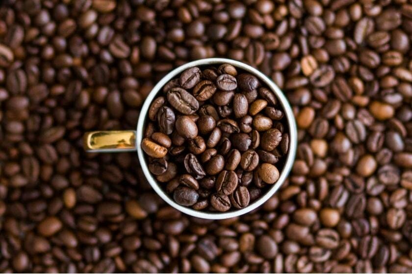 Which coffee bean is better? Arabica or Robusta? Which coffee bean is better? Arabica or Robusta?